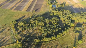 Grodzisko w Chodliku przejdzie rewitalizację. Teren zostanie oczyszczony, pojawi się nowa infrastruktura.