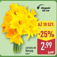 Букет квітів Gardenline