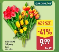 Букет тюльпанів Gardenline