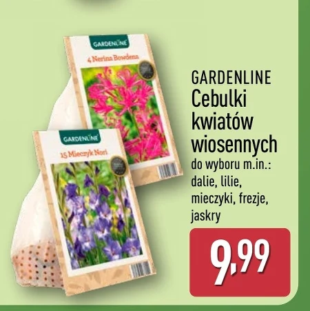 Цибулини квітів Gardenline