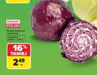 Червонокачанна капуста Polski