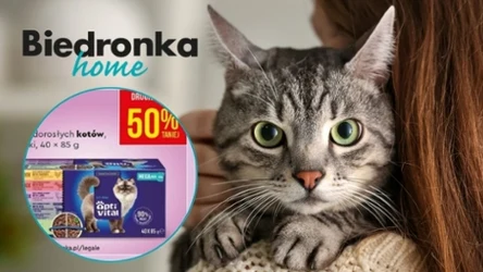 Świętuj Dzień Kota z Biedronka Home - karma i akcesoria w dobrej cenie