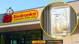 Wiosenne odświeżenie wnętrza. Nowe tekstylia z Biedronki