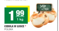 Cebula Polski