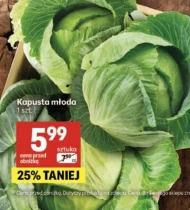 Kapusta młoda