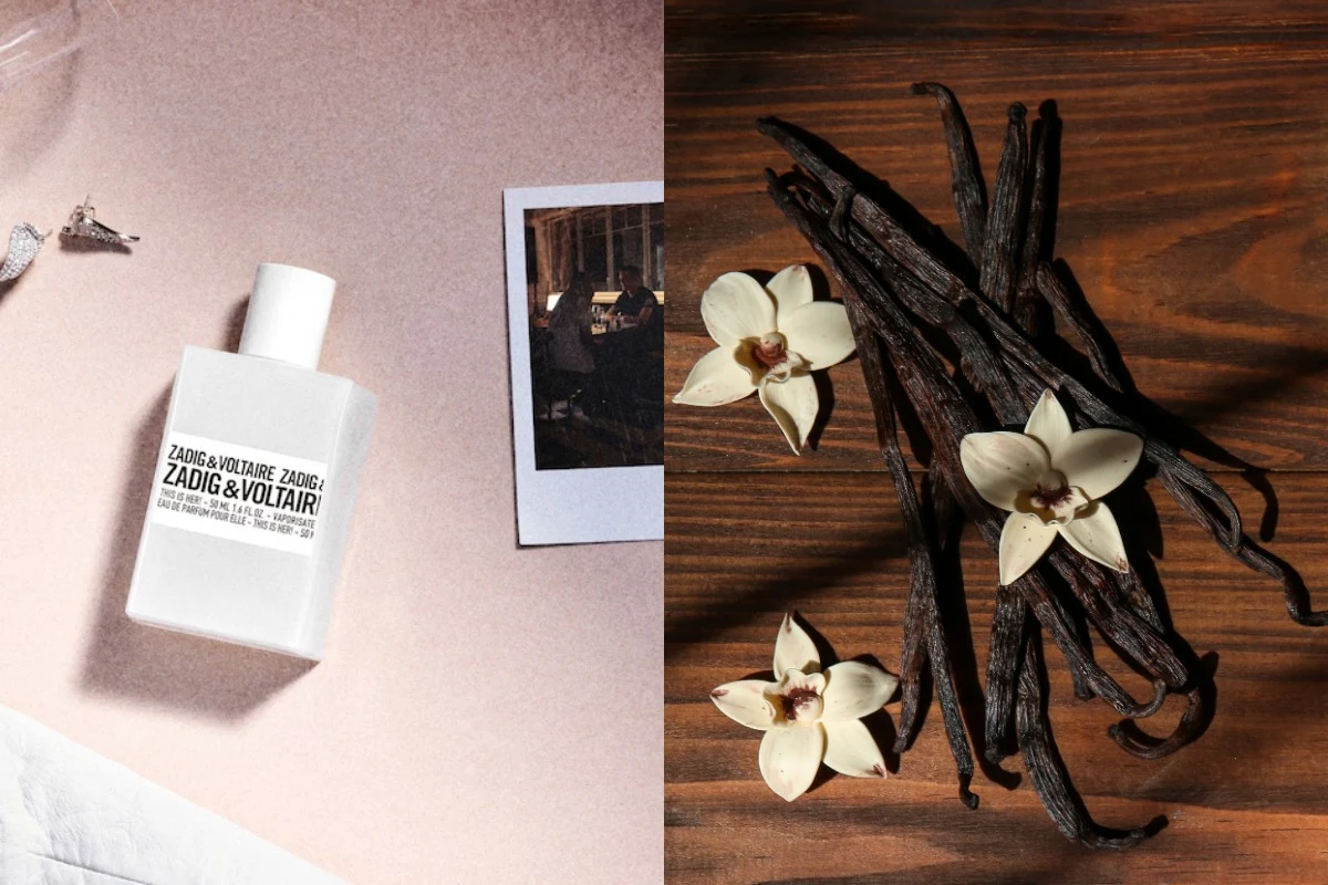 Najpiękniejsze perfumy dla dojrzałych kobiet. Fot. 123RF/PICSEL, Douglas Biała butelka perfum marki Zadig & Voltaire umieszczona na jasnym tle obok zdjęcia, po prawej stronie kilka lasek wanilii i kwiaty wanilii na drewnianej powierzchni.