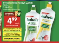 Płyn do naczyń Ludwik