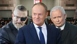 Sondaż partyjny. KO, PiS i Konfederacja na podium. Goni partia Grzegorza Brauna