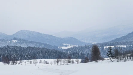 Co ciekawego w Lutowiskach? Brama Bieszczadów Wysokich 