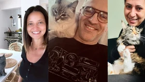 Gwiazdy TV4 uczciły Dzień Kota. Zdobyły się na piękny gest