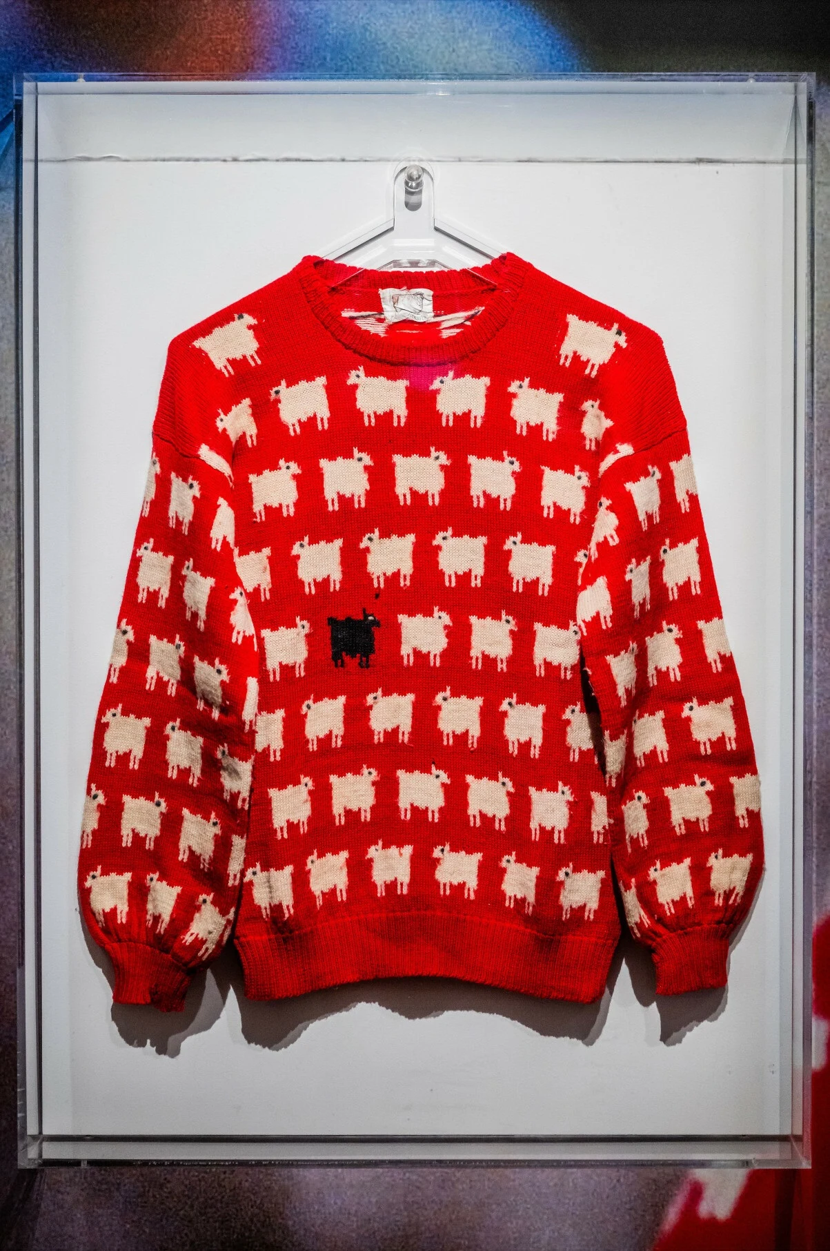 Czerwony sweter z powtarzającym się wzorem białych owiec oraz jedną czarną owcą na środku, zawieszony na białym wieszaku w szklanej gablocie.