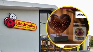 Biedronka odpaliła LED-owe nowości do sypialni. Ceny od 19,99 zł