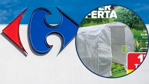 Carrefour już startuje z ogrodem. Zobacz, co warto kupić na wiosnę 