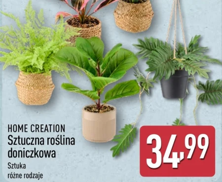 Рослина в горщику Home Creation