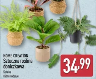 Рослина в горщику Home Creation