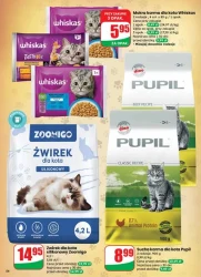 Rozsmakuj się w okazjach - Dino