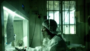 Gorączka Lassa jest ostrą wirusową gorączką krwotoczną