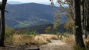 To najczęściej powielany wycieczkowy mit. Prawdziwe znaczenie zaskakuje