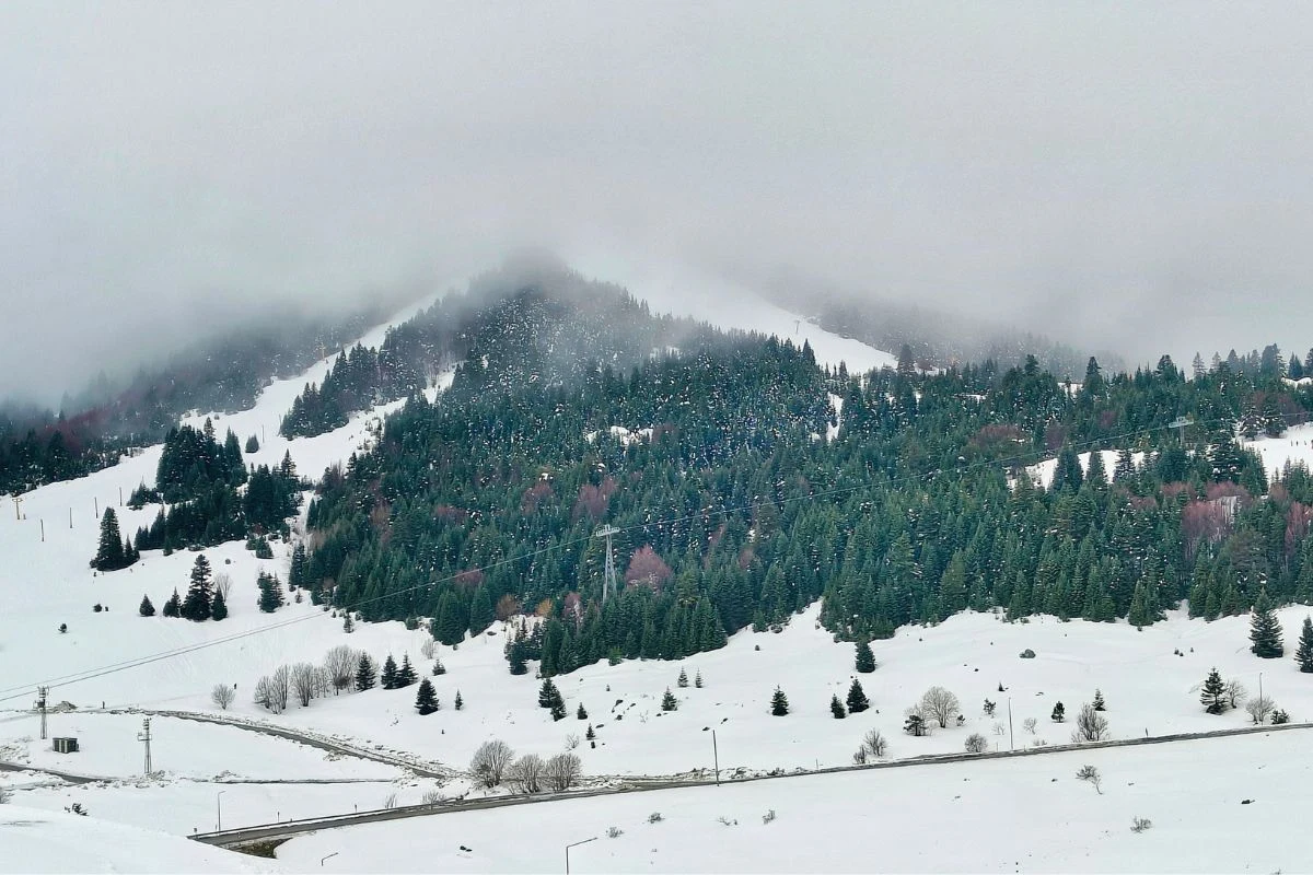 Zima w Turcji potrafi zadziwić Zasypany śniegiem rozległy krajobraz górski z gęstym lasem iglastym, przez który przebiega kręta droga, a górskie szczyty są częściowo ukryte we mgle