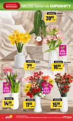 Bogactwo lady w POLOmarket