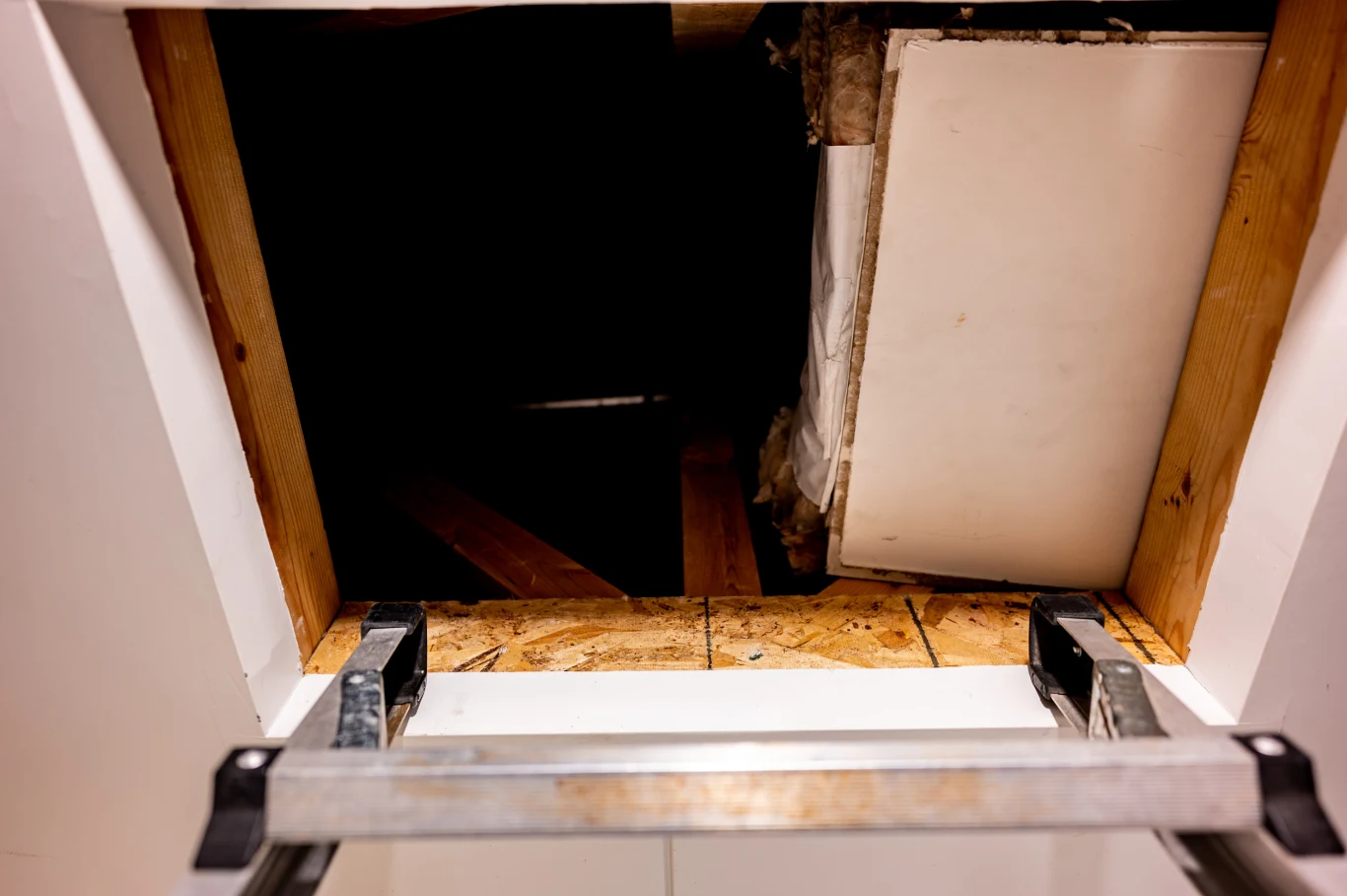 Otwór prowadzący na strych z widoczną rozkładaną drabiną aluminiową. Otoczenie wykonane z drewna i białych płyt, w tle ciemność strychu i ślady izolacji termicznej.