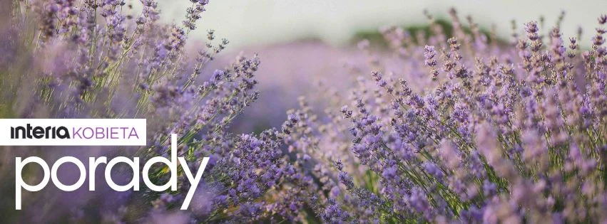 Zobacz, jak ułatwić sobie codzienność sprytnymi sposobami