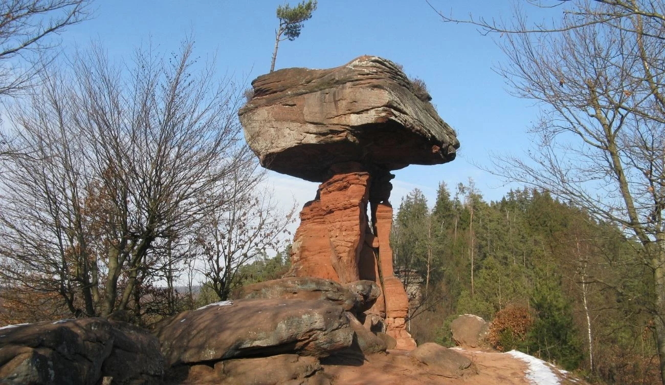 Diabelski Stół w Niemczech formował się przez miliony lat Duża skała o nietypowym, grzybowatym kształcie, na której szczycie rośnie pojedyncze drzewo, otoczona lasem liściastym i iglastym z gałęziami bez liści, delikatny śnieg na ziemi.
