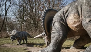 Triceratops jest jednym z najbardziej znanych i rozpoznawalnych dinozaurów