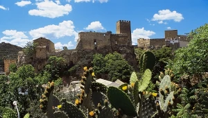To wydarzenie co roku przyciąga turystów. Ciesz się słońcem i weź udział w bitwie na pomidory