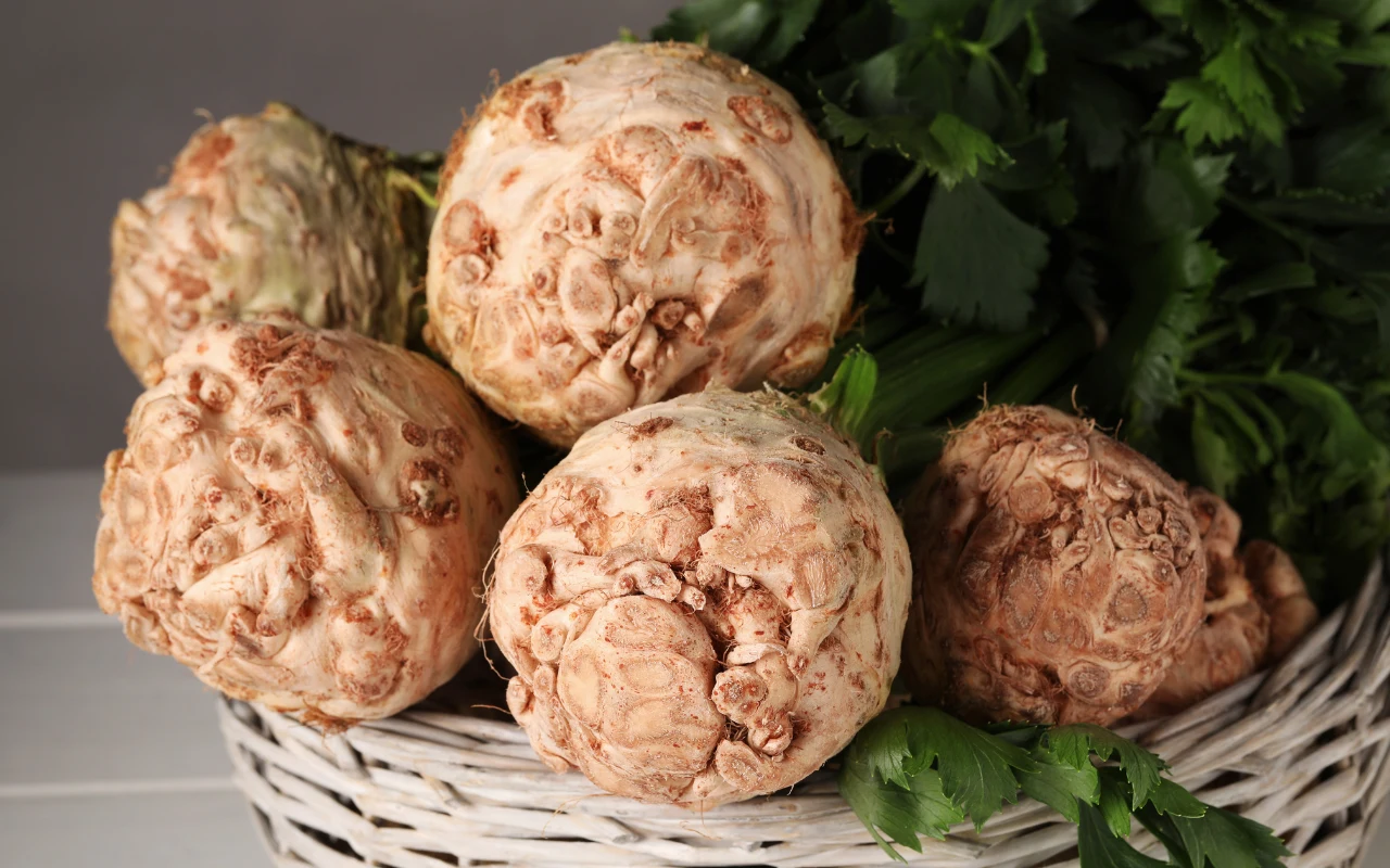 Seler ma wiele cennych właściwości zdrowotnych