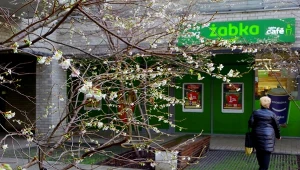 Żabka w wybranych sklepach testuje nową usługę - wypożyczalnię powerbanków