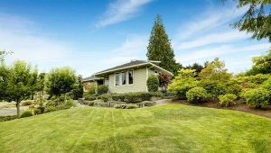 Najlepszy czas na regenerację trawnika to wiosna lub wczesna jesień