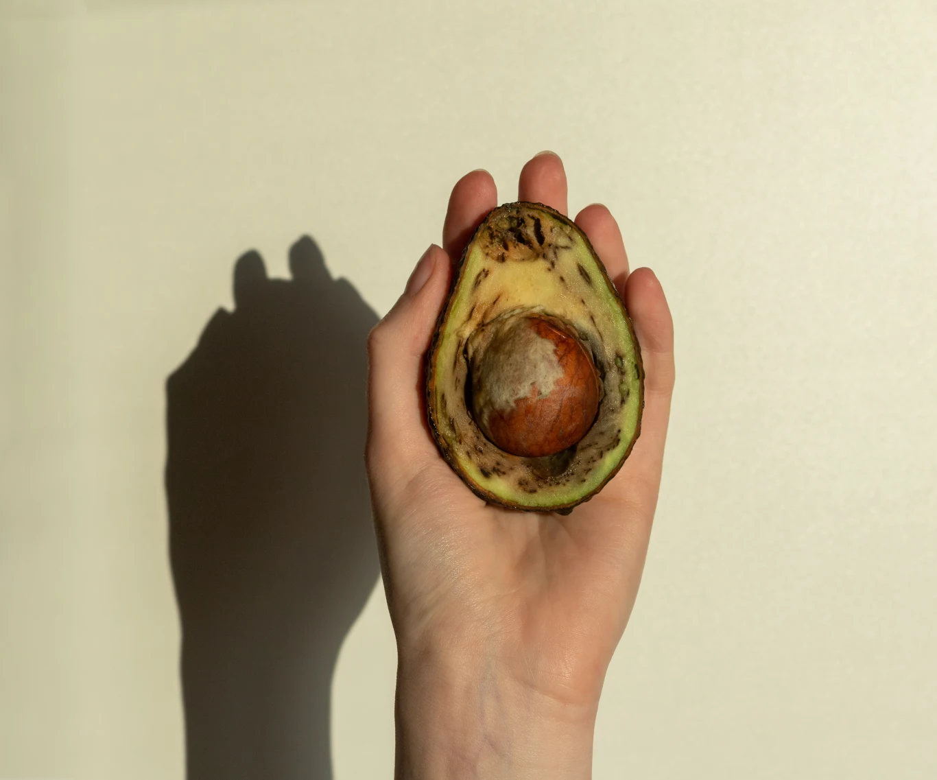 Połówka dojrzałego awokado trzymana w otwartej dłoni na tle jasnej ściany, z wyraźnym cieniem rzucanym przez rękę.