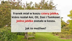 Potrafisz myśleć kreatywnie? Spróbuj rozwiązać kłopotliwą zagadkę z jabłkami