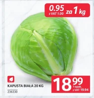 Білокачанна капуста