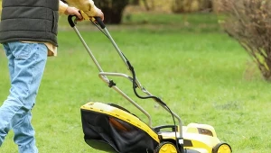 Zapomnij o przekopywaniu. Trawnik będzie zdrowy i soczyście zielony