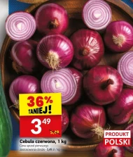 Червона цибуля Polski