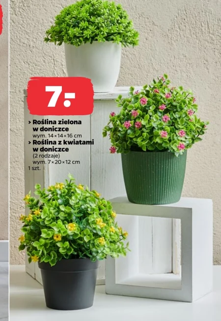 Посадіть у горщик