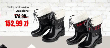 Веллінгтони