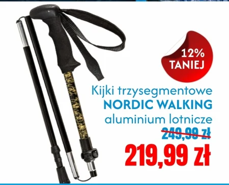 Палиці для скандинавської ходьби Nordic