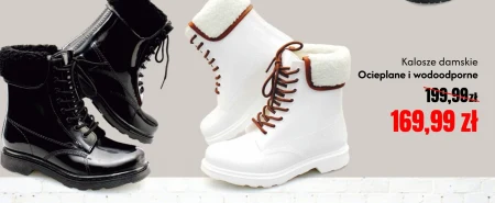 Веллінгтони