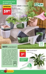 Wiosenne inspiracje - Biedronka