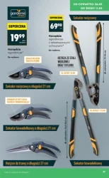 Wiosenne inspiracje - Biedronka