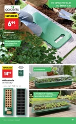 Wiosenne inspiracje - Biedronka