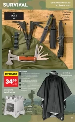 Wiosenne inspiracje - Biedronka