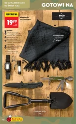 Wiosenne inspiracje - Biedronka