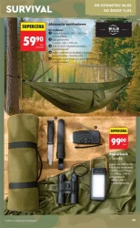 Wiosenne inspiracje - Biedronka