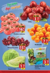 Tydzień pełen rabatów – Api Market