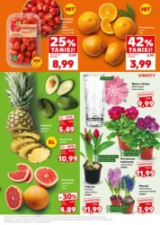 Mocny start - Kaufland