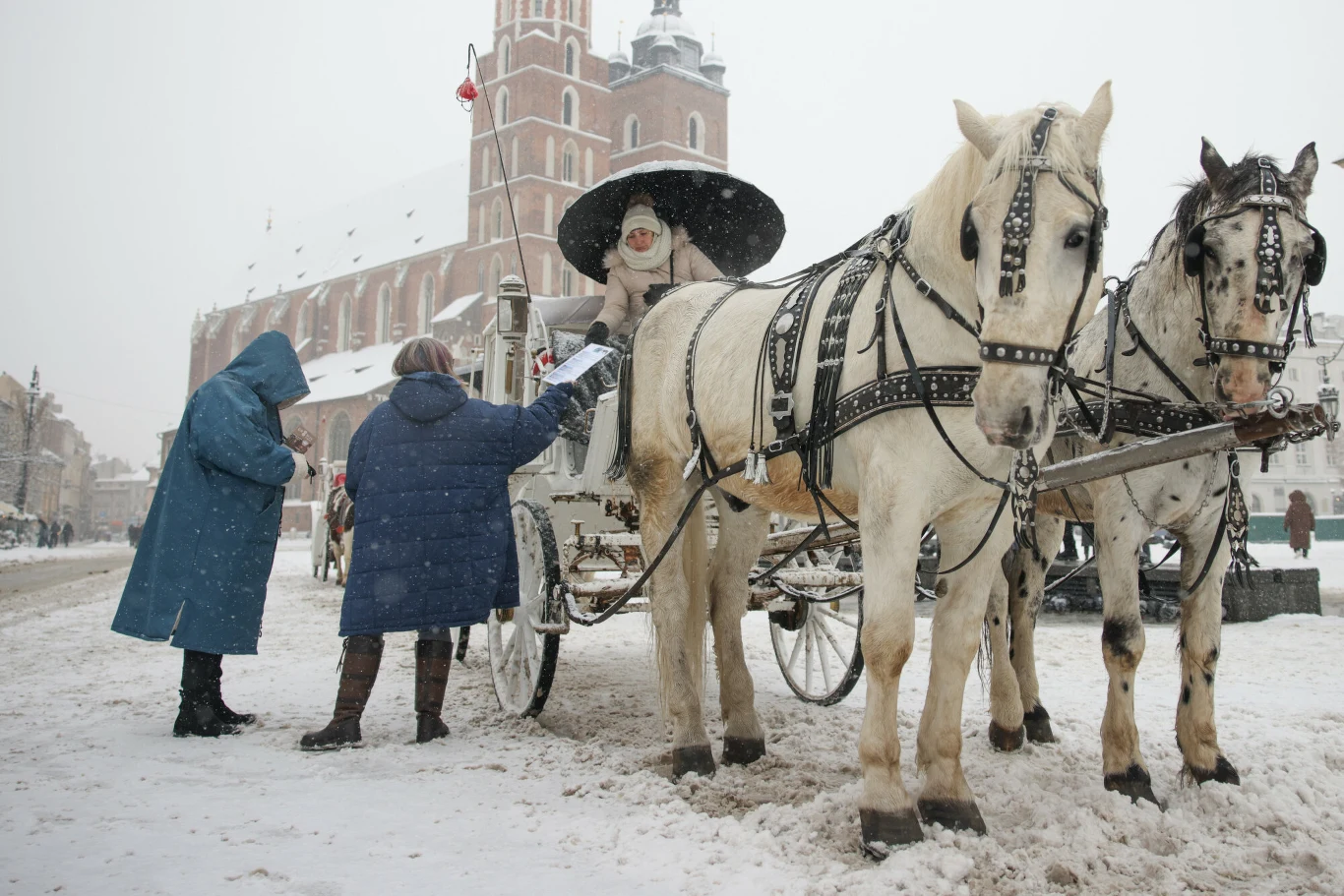 Krakowscy dorożkarze oskarżają aktywistki o zniesławienie i kierują do sądu prywatny akt oskarżenia Krakowscy dorożkarze oskarżają aktywistki o zniesławienie i kierują do sądu prywatny akt oskarżenia
